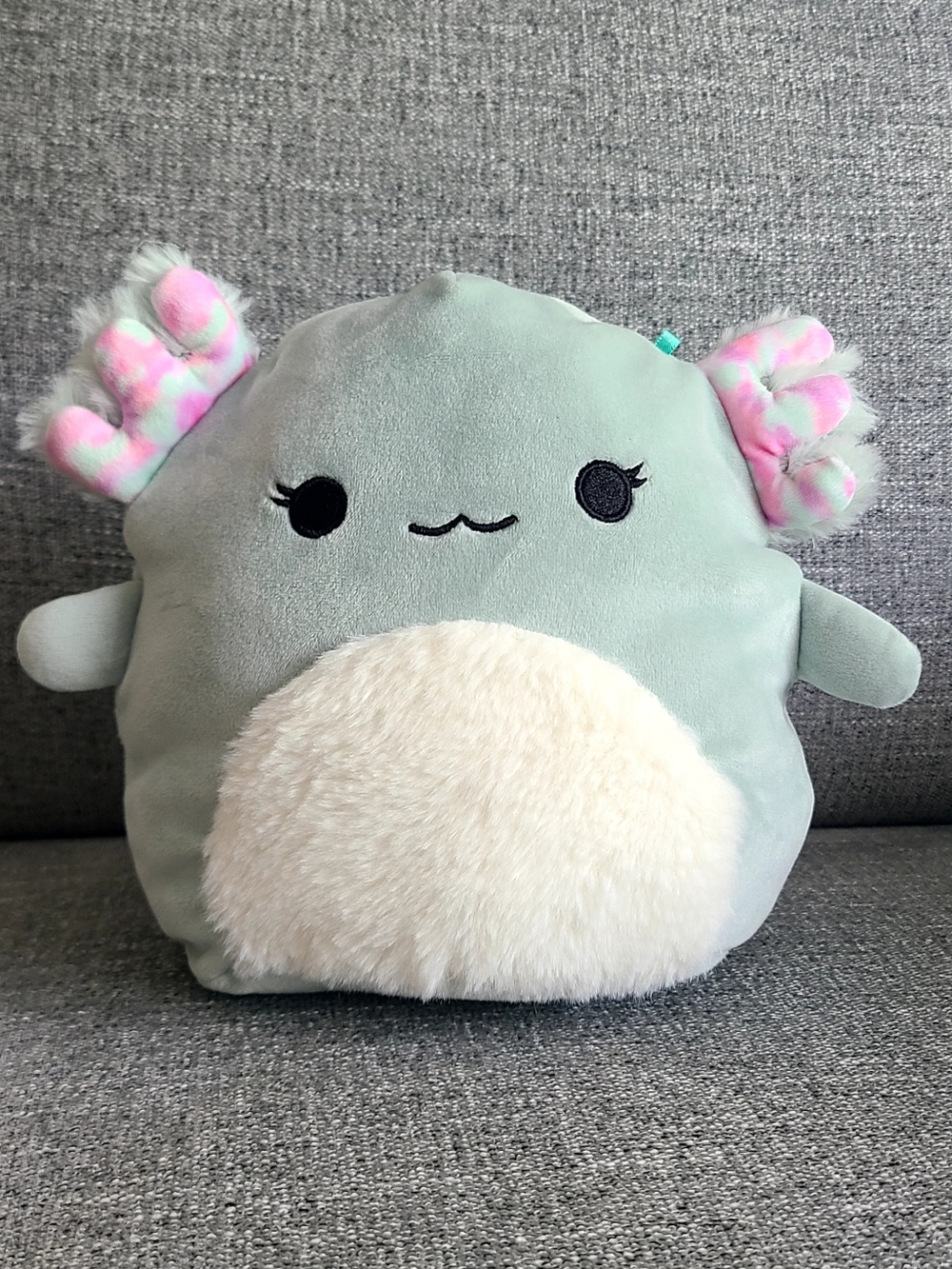 Squishmallows-Chaseman Mint Green Axolotl, 7in